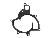 Junta de bomba de agua. Porsche 996 TT / 996 GT2 / 996 GT3 - 99610634071, 237.471