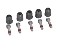 Kit pasador de arrastre de disco de freno. Porsche 991 GT2 RS / 991 GT3 - 99134190580