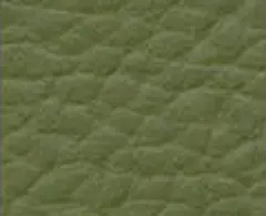 Green 1705