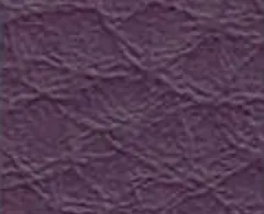 Violet 1736