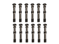 Tornillos de biela, juego de 12. Porsche 911 2,4 L / 2,7 L / 3,0 L / 930 3,0 L 1972-83 - 313096000322, 91410317101, 91410317100