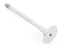 Valvola di scarico. Porsche 944 S, S2/928 S, GT, GTS/968 - 92810564206, 94410541800