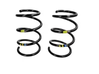 Molle elicoidali posteriori (coppia) - con marcature gialle/blu - per Porsche 987-2 Cayman / S 2009-2012 - 98733353167504, 98733353184504