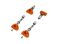 轮胎压力监测传感器 TPMS。保时捷 997.2 / 991.1 / Boxster 和 Cayman 987.2 和 981.1 / Cayenne >>2014 / Panamera >>2013 - 7PP907275F, 7PP907275B, 99760602120, 95836166100, 9A790727506 - RDE048V21