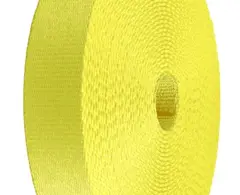 Racing Yellow