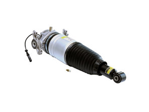 Schokdemperpoot luchtvering achter. Porsche Cayenne 2011 - 2018 - 95835802000, 95835802001, 95835802006, 95835802008, 95835802010, 95835802011, 95835802015, 95835802016, 95835802017, 95835802018, 95835802019, 95835802020, 95835802025, 95835802026, 95835802027, 95835802030, 95835802031, 95835802032, 95835802040, 95835802041, 95835802042, 95835802050, 95835802051, 95835801900, 95835801901, 95835801906, 95835801908, 95835801910, 95835801911, 95835801915, 95835801916, 95835801917, 95835801918, 95835801919, 95835801920, 95835801925, 95835801926, 9583 - DAS10206, DAS10207