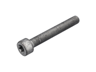 Brake Caliper Mounting Bolts. Porsche 997 / Panamera / 991 / 981 Boxster / 981C Cayman - 99906705309, 9A700758500