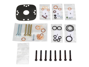 Dichtungssatz für Kraftstoffverteilerkopf. Porsche 924 - 0 438 100 003, 063133481X, 063133481