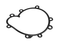 Water pump gasket. Porsche 955 Cayenne S / Turbo - 94810611503, 877.542