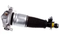 后空气悬架支柱装置。保时捷卡宴 2002 - 2010 - 350019000001, 95533303444/1, 95533303342, 95533303343, 95533303344, 95533303320, 95533303321, 9553330332, 95533303442, 95533303443, 95533303444, 95533303420, 95533303421, 95533304322, 350019100001, 95533303344/1