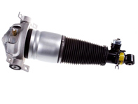 Veerpootunit luchtvering achter. Porsche Cayenne 2002 - 2010 - 350019000001, 95533303444/1, 95533303342, 95533303343, 95533303344, 95533303320, 95533303321, 9553330332, 95533303442, 95533303443, 95533303444, 95533303420, 95533303421, 95533304322, 350019100001, 95533303344/1