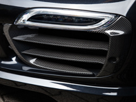 TechArt 碳纤维前保险杠格栅气叶。保时捷 991.1 涡轮增压 - 091.121.194.009G, 091.121.194.009