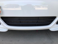 前保险杠中央格栅金属丝网。保时捷 987 Gen 2 Cayman 和 Cayman S