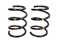 Molle elicoidali posteriori (coppia) per Porsche 987-2 Cayman 2.9L 2009-2012 - 98733353175504, 98733353192504