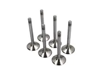 Kit valvola di scarico testata motore, SET DA 6. Porsche 964 Carrera 2 / Carrera 4 - 96410541903