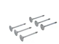 Motorzylinderkopf-Auslassventilsatz TRW. Porsche 911 1970-77 - 91110541500, 91110541550, 1041.239, 3064, 13388