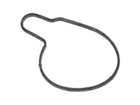 Seal For Water Pump. Porsche 958 Cayenne 4.2L Diesel - 95810611920, 95810603350, 95810603351