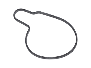 Joint de pompe à eau. Porsche 958 Cayenne 4,2 L Diesel - 95810611920, 95810603350, 95810603351