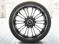 20'/21' 918 Spyder in Platinum (zijdemat) lichtmetalen velgen & zomerbanden Origineel Porsche - 91804460004