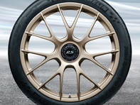 20'/21' 991.2 GT3 RS Magnesio, en oro blanco metalizado (satinado) Llantas de aleación Original Porsche - 99104460339