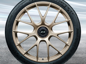 20'/21' 991.2 GT3 RS Magnesio, en oro blanco metalizado (satinado) Llantas de aleación Original Porsche - 99104460339