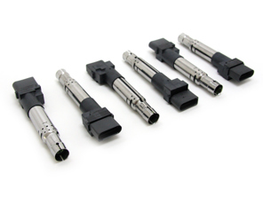 点火线圈组。保时捷卡宴 955 V6 / 卡宴 957 V6 - 95560210105, 0040102044, 40102041, 95560210100, 95560210101, 95560210102, 95560210103, 95560210104, 95560210105, 95860210100 - ZSE044, ZSE044