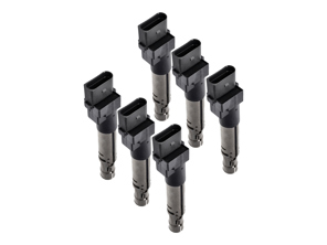 点火线圈组。保时捷 Cayenne 955 V6 / Cayenne 957 V6 - 95560210105, 0040102044, 40102041, 95560210100, 95560210101, 95560210102, 95560210103, 95560210104, 95560210105, 95860210100 - ZSE044, ZSE044