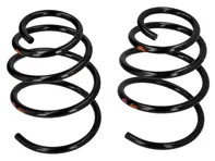 Schroefveren VOOR PAAR. Porsche 996 C4 2002>> Coupé - 99634353321504, 99634353321