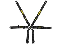 SCHROTH PROFI 2x2 FHR 6-punts verstelbare racegordel. Porsche 991 coupé - 94660-0, 94660-2