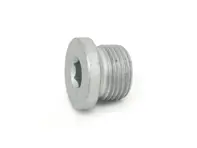 Transmission case screw plug. Porsche 996 Carrera / 986 Boxster S / 997 GT3 - 99630323700