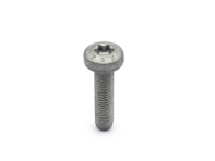Trox screw for cylinder head cover. Porsche 997.2 / 991 / Boxster / Cayman - 9A110731301