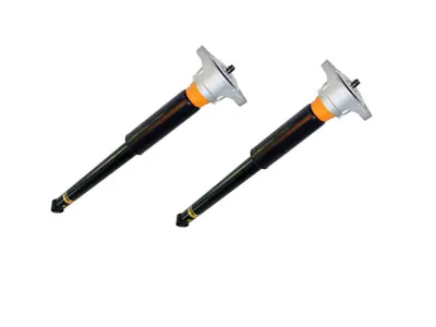 Ammortizzatori posteriori, montaggio completo (COPPIA) con PASM. Porsche 971.1 Panamera / 971.2 Panamera 2017-23 - 971513035B, 971513035C, 971513035D, 971513035E