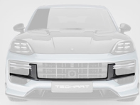 TechArt 碳纤维前格栅。保时捷 9YA (E3.2) 卡宴，采用运动设计，2024 年款起 - 09Y.121.108.009G, 09Y.121.108.009M - 09Y.121.108.009G, 09Y.121.108.009M