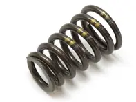 Valve spring. Porsche 996 3.6L 08/2001>> - 99610511801